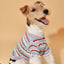 Pet & Me Spring Summer Lavender Ruffle Crochet Short Sleeve Polo Shirt