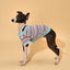Pet & Me Spring Summer Ocean Blue Ruffle Crochet Short Sleeve Polo Shirt