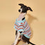 Pet & Me Spring Summer Ocean Blue Ruffle Crochet Short Sleeve Polo Shirt
