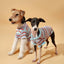 Pet & Me Spring Summer Lavender Ruffle Crochet Short Sleeve Polo Shirt