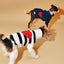 Sailor of My Heart Striped Turtleneck Sweater