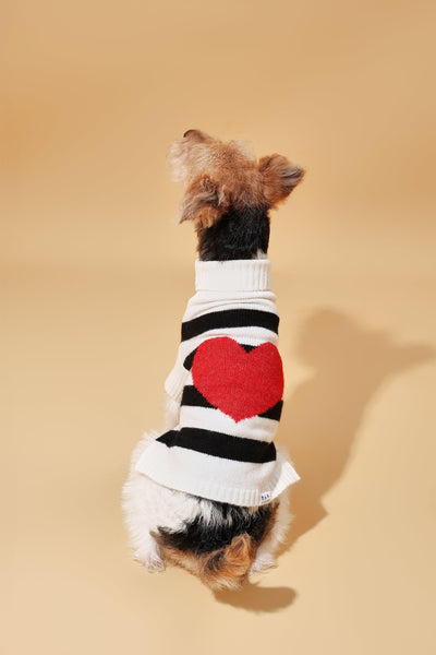 Sailor of My Heart Striped Turtleneck Sweater