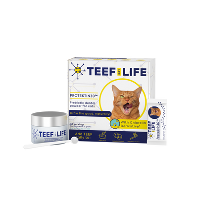 Dental Kits: Protektin30™ - Prebiotic Dental Powder for cats