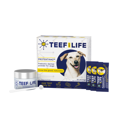 Dental Kits: Protektin42™ - Prebiotic Dental Powder for dogs