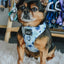 Dog Adjustable Harness - Berry Sassy