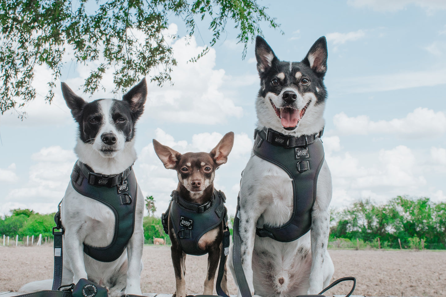 Dog Adjustable Harness - Reflection