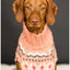 Peach Fairisle Dog Sweater