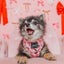 Dog Adjustable Harness - Sweet Treats