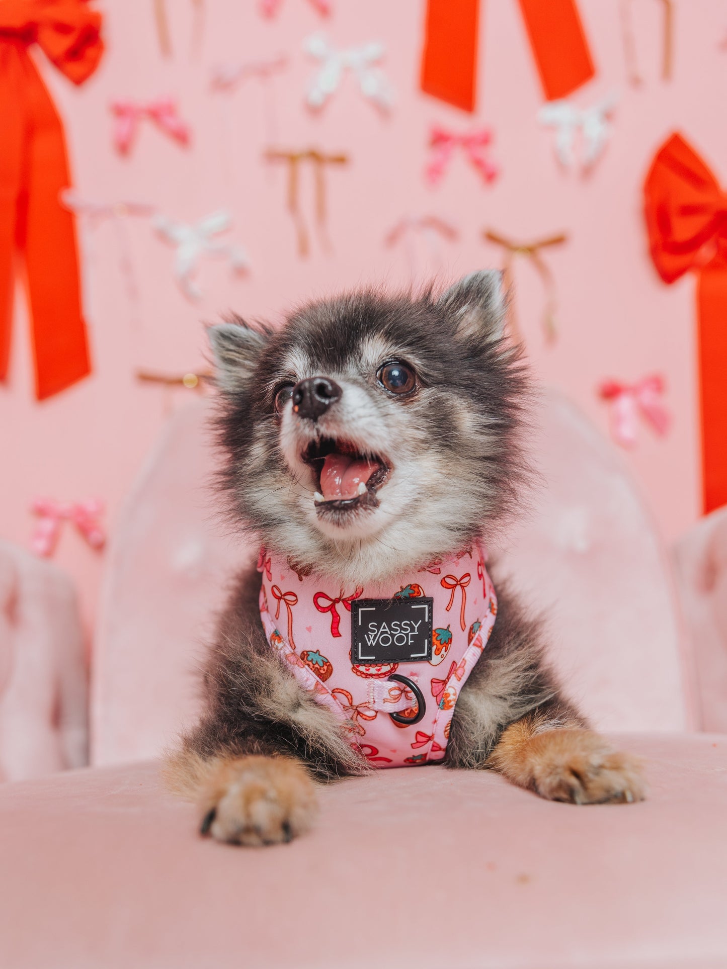 Dog Adjustable Harness - Sweet Treats