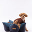 OULU X PEHOM - CUDDLE PET PILLOW BED- Navy Blue / Olive Green / Canyon Brown
