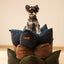 OULU X PEHOM - CUDDLE PET PILLOW BED- Navy Blue / Olive Green / Canyon Brown