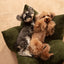 OULU X PEHOM - CUDDLE PET PILLOW BED- Navy Blue / Olive Green / Canyon Brown