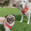 Dog Adjustable Harness - Disney's 101 Dalmatians