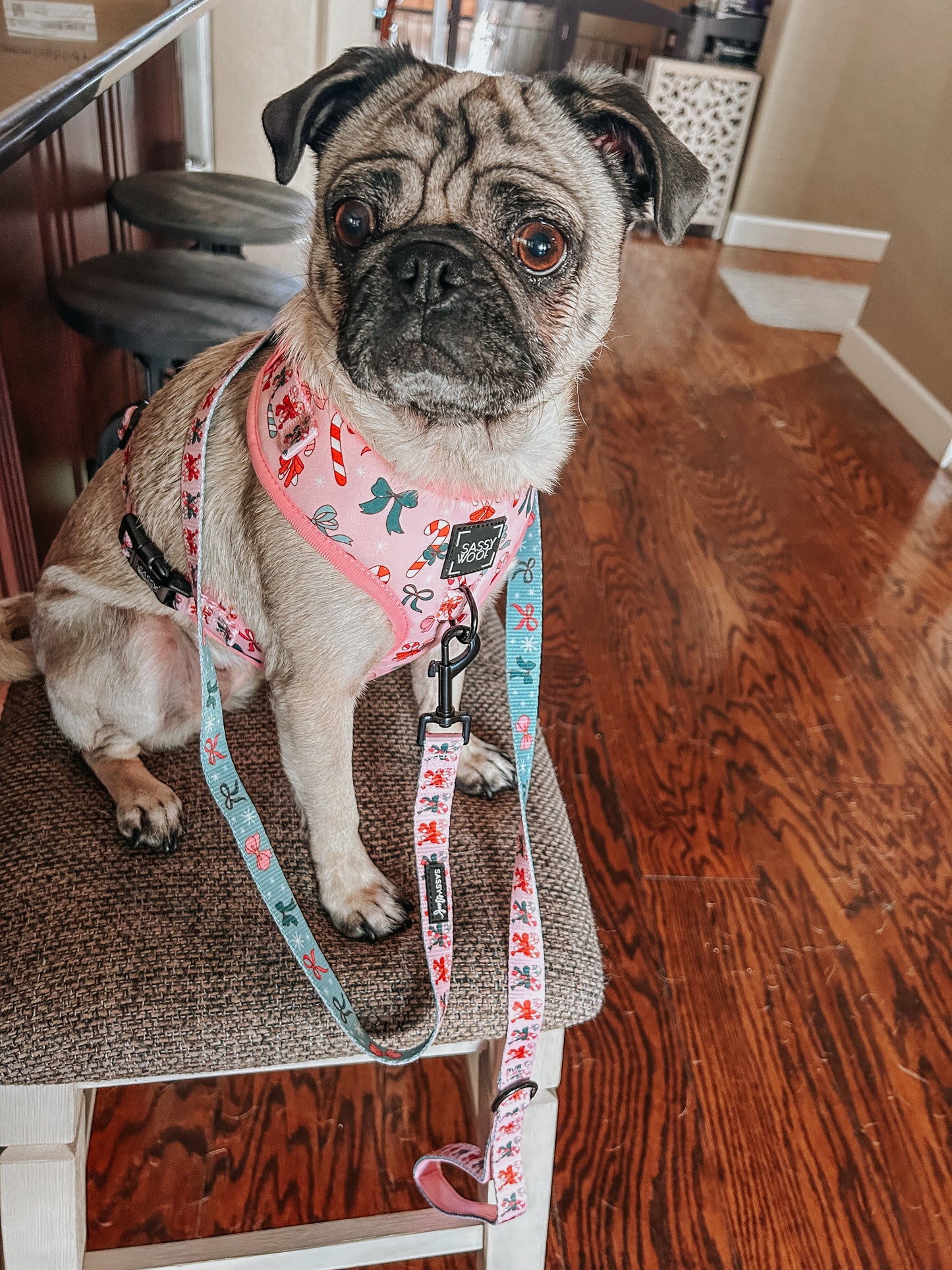 Dog Adjustable Harness - Candy Cane Coquette