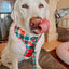 Dog Adjustable Harness - Jingle Barks