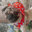 Dog Bucket Hat - Disney's 101 Dalmatians
