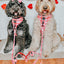 Dog Leash - Picnic Fur Two