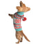 Peppermint Hoodie Dog Sweater