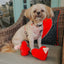 Dog Adjustable Harness - P.S. I Woof You