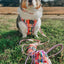 Dog Collar - Disney's Bambi