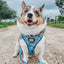 Dog Leash - STAR WARS™ The Mandalorian™
