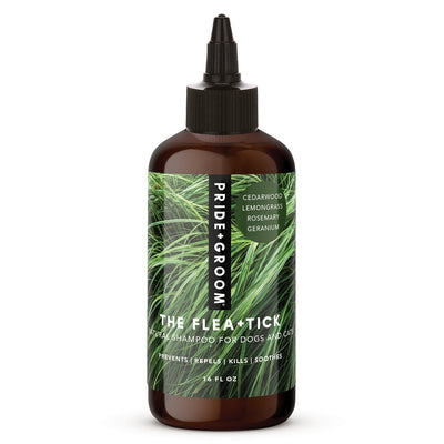 FLEA + TICK SHAMPOO