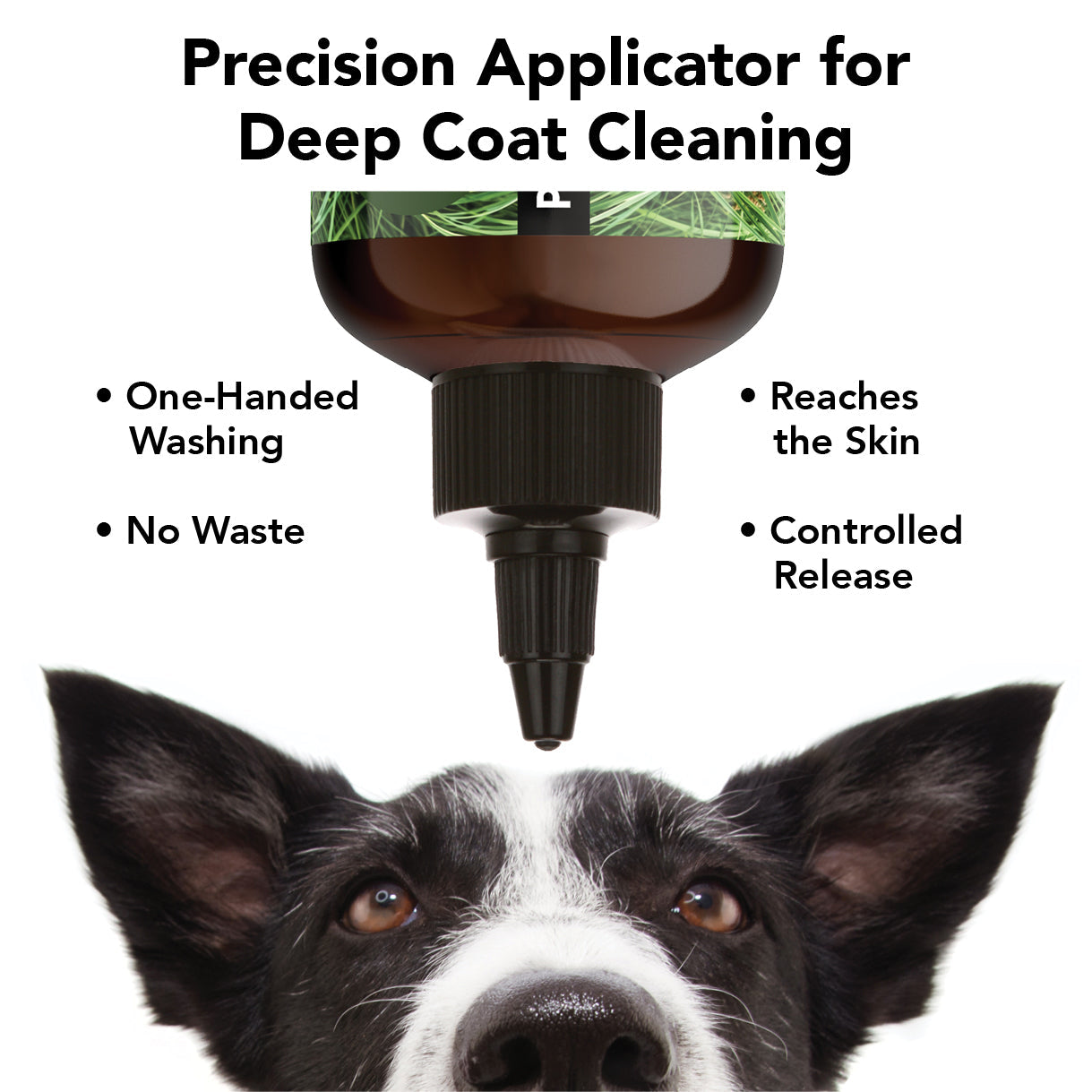 FLEA + TICK SHAMPOO