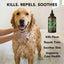 FLEA + TICK SHAMPOO