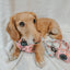Dog Leash - Out of Office