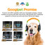 10 in 1 Multivitamin Chews for Dogs (Peanut Butter & Pumpkin Flavor)