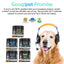 Hemp Calming Chews for Dogs