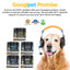 Agility+ Advanced Hip and Joint Chews for Dogs