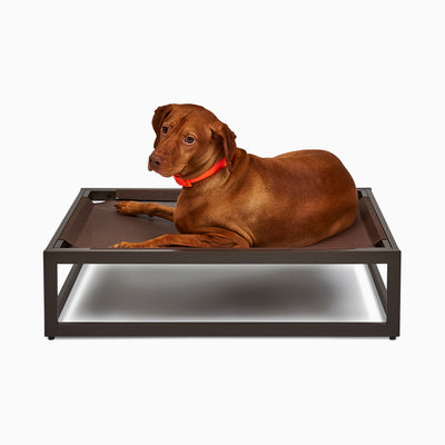 The Up Pup Dog Cot