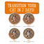 Cats in the Kitchen Pumpkin Jack Splash Tuna in Pumpkin Soup (3oz)