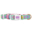 Dog Collar - Polly Pocket™