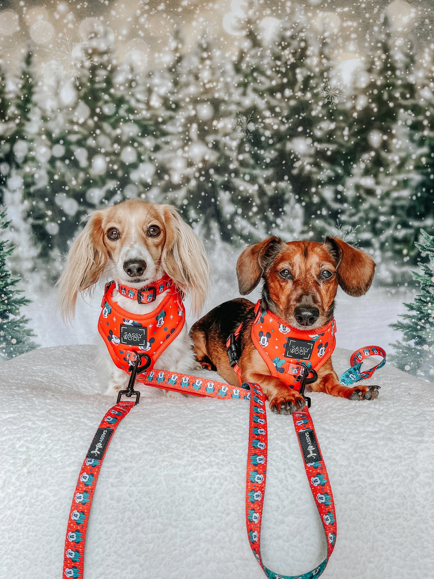 Dog Leash - Disney Holiday Collection