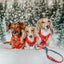 Dog Adjustable Harness - Disney Holiday Collection