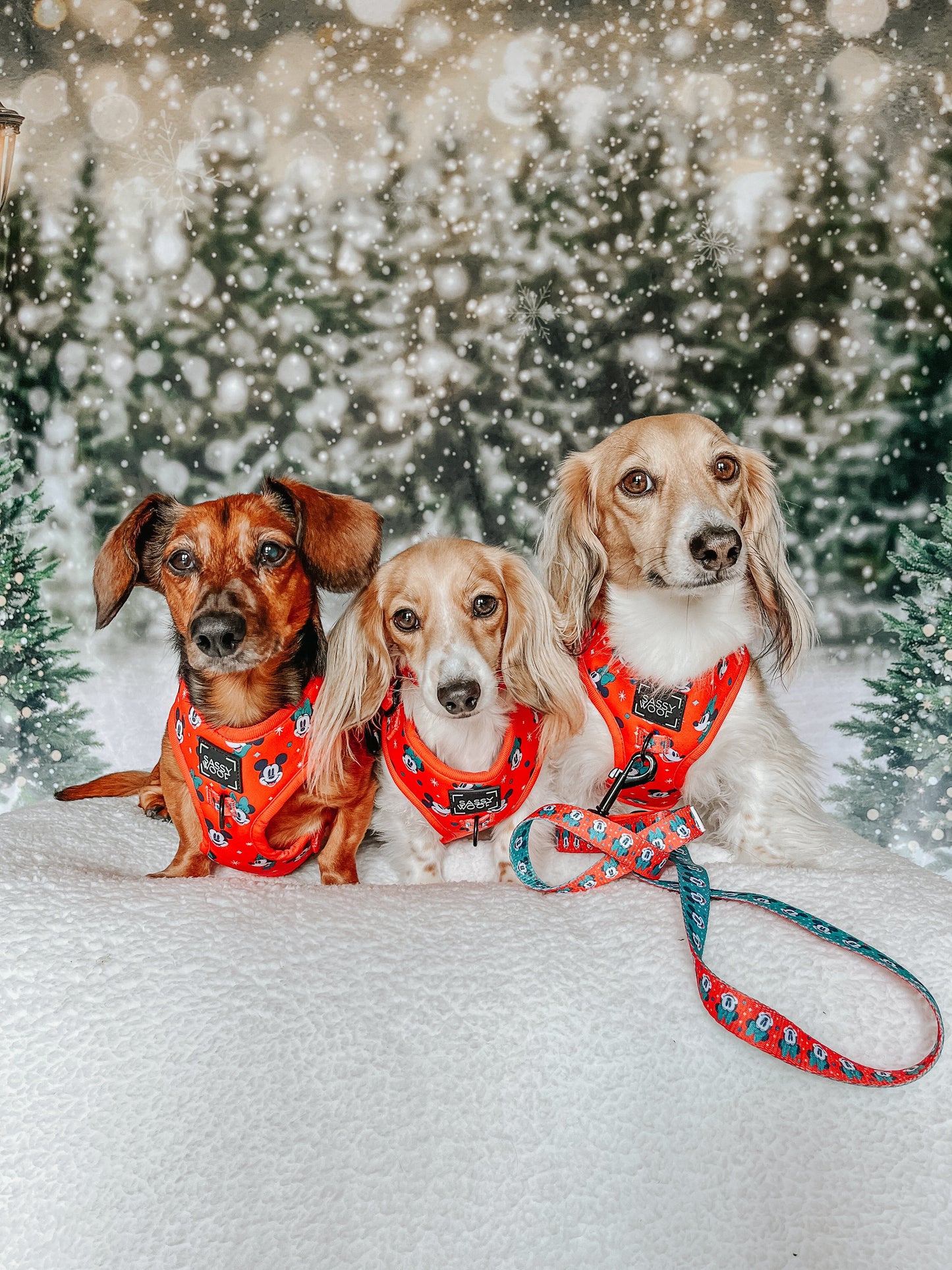 Dog Adjustable Harness - Disney Holiday Collection