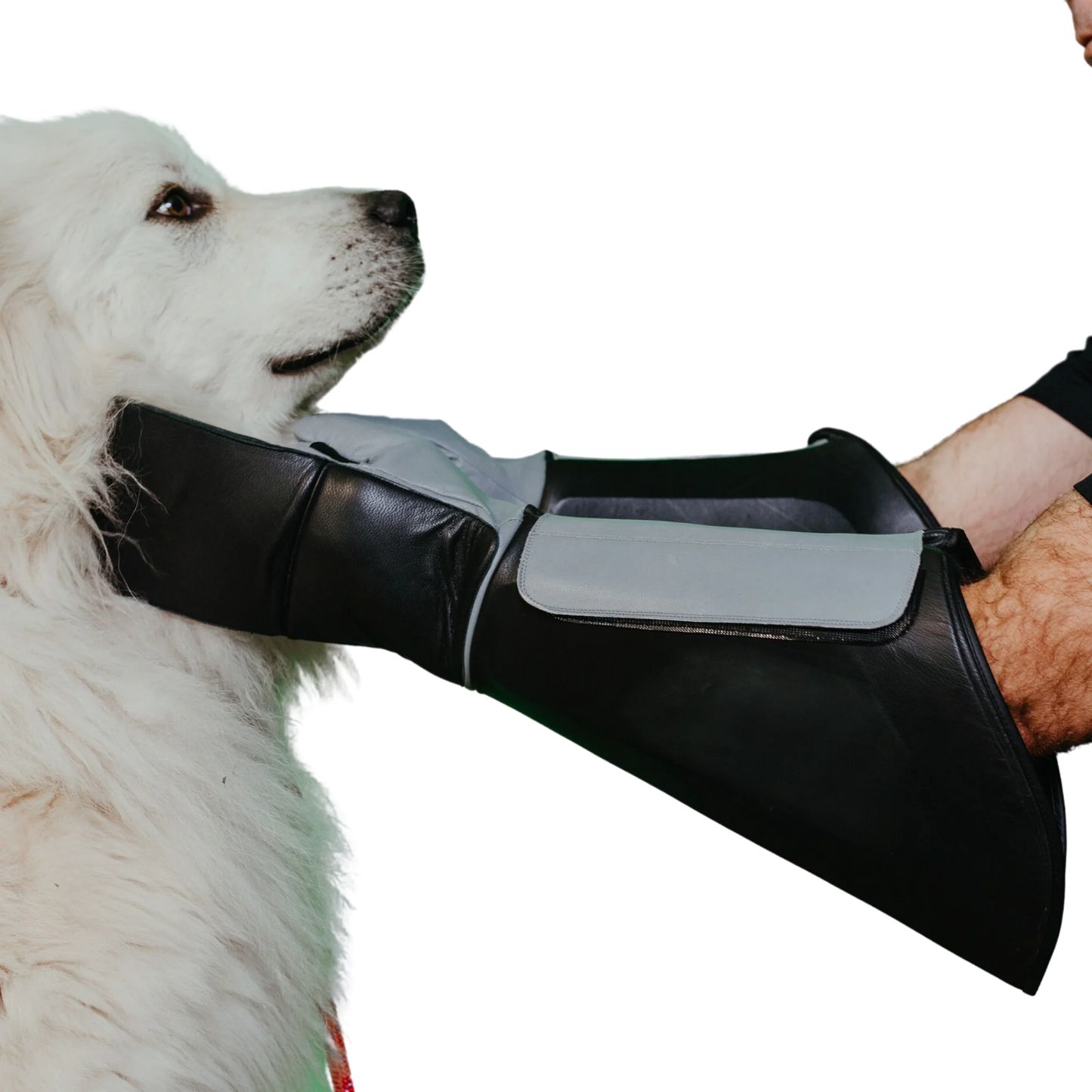 Praetorian Pro Dog Handling Glove