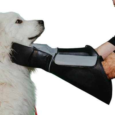 Praetorian Pro Dog Handling Glove
