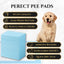 Puppy Pads | Absorbent Pee Pads