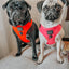 Dog Adjustable Harness - Neon Red