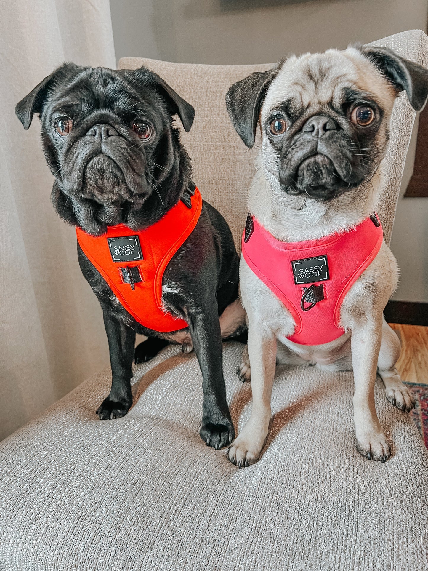 Dog Adjustable Harness - Neon Red