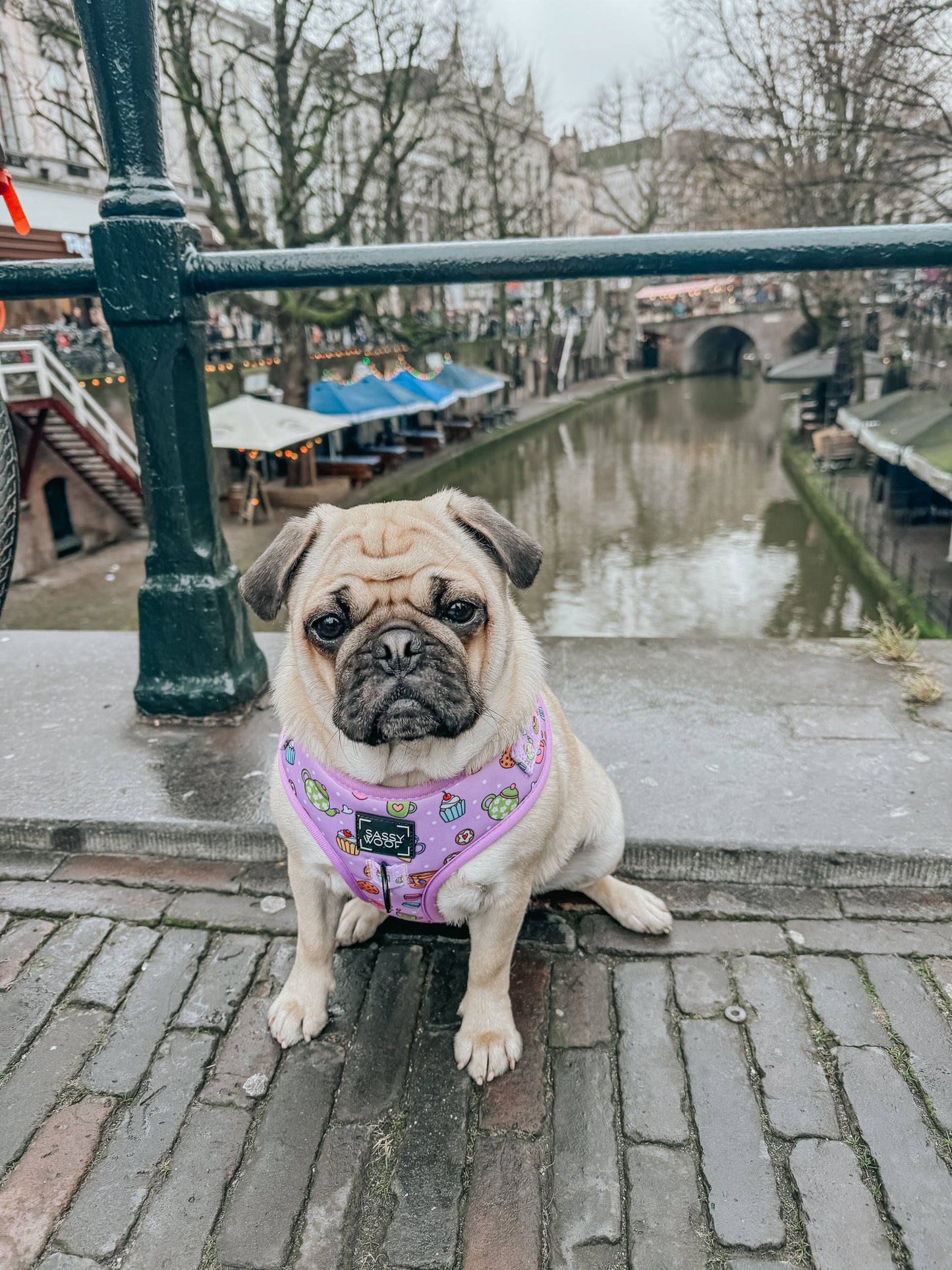 Dog Adjustable Harness - Tea Pawty