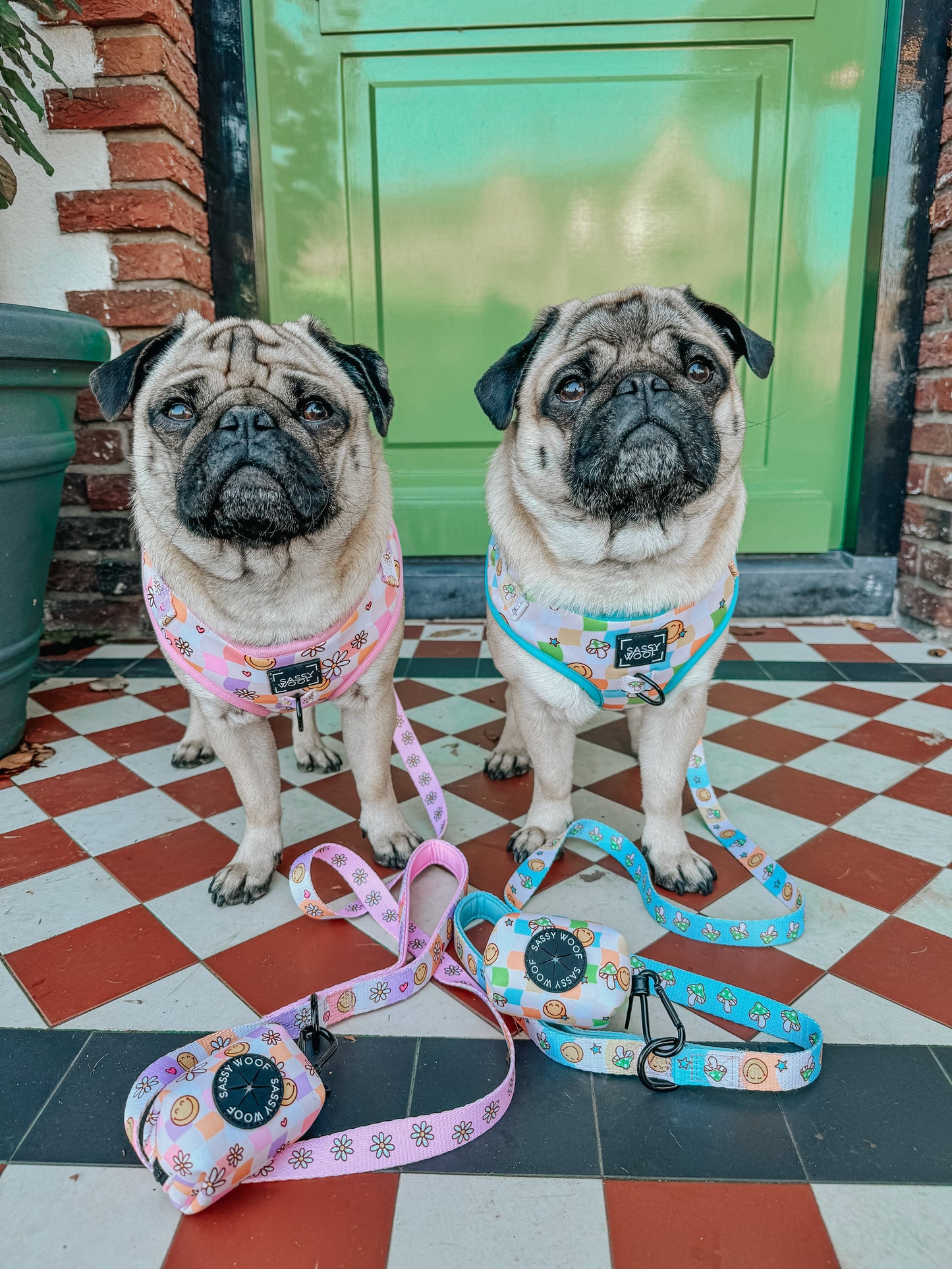 Dog Leash - Mush Love