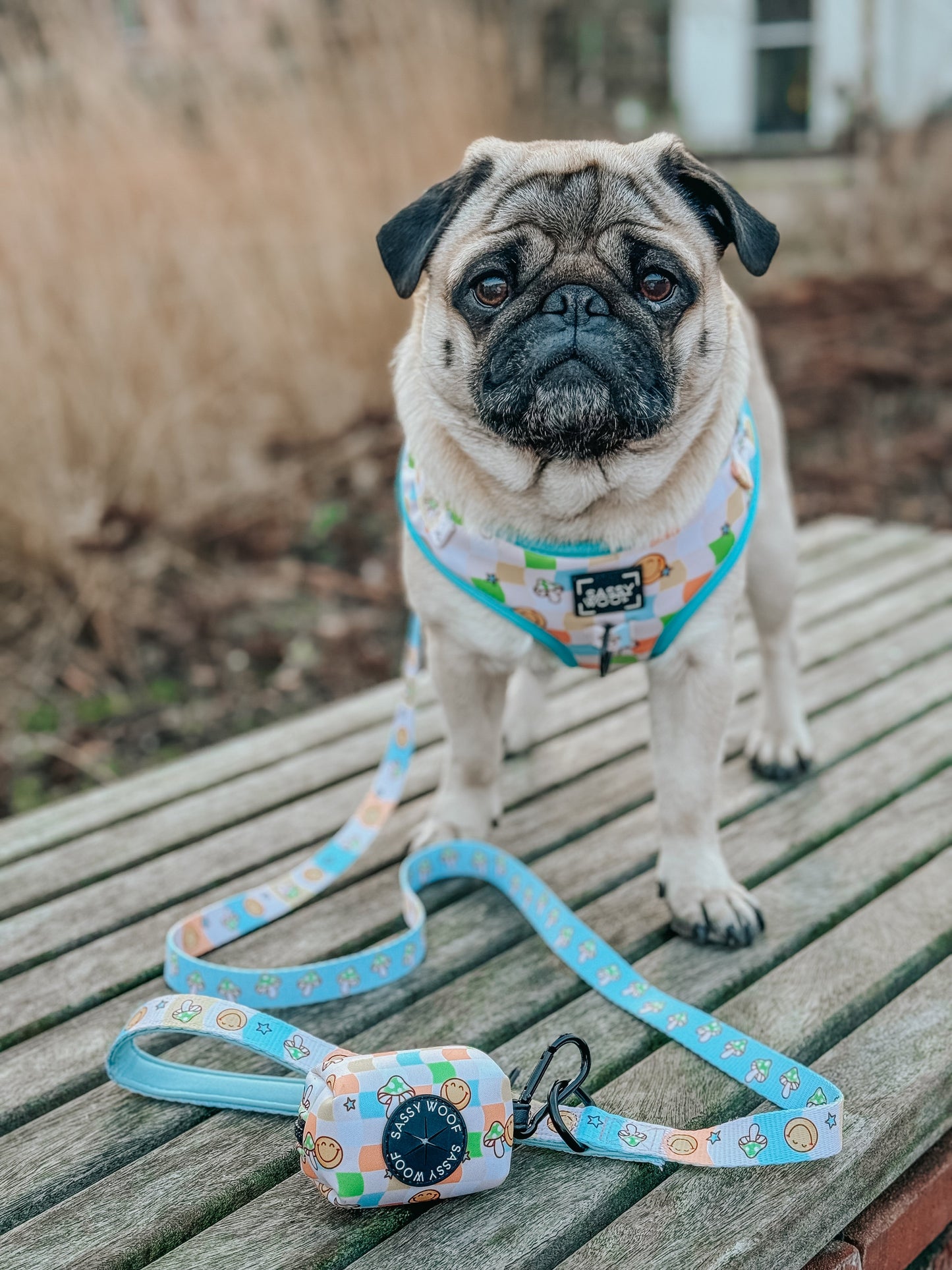 Dog Leash - Mush Love