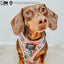 Dog Adjustable Harness - The Powerpuff Girls™ (Pink)