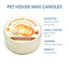 Pumpkin Spice Mini Candle