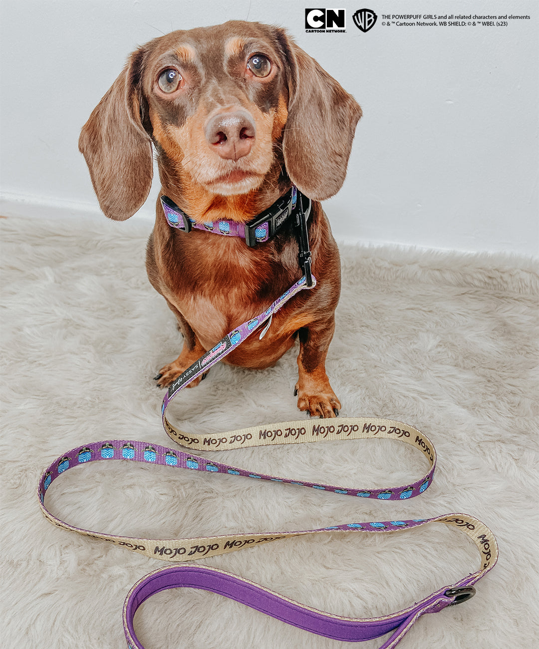 Dog Leash - Mojo Jojo™