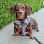 Reversible Harness - The Nightmare Before Christmas™